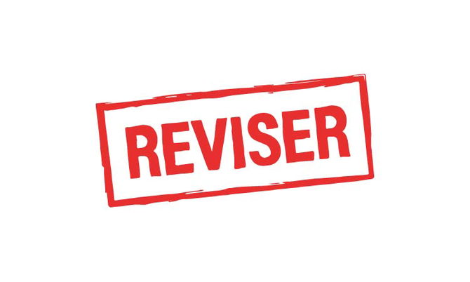 Reviser.io